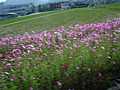 dsc00090.jpg