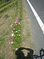dsc00111.jpg